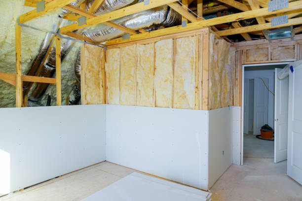 Best Fireproof Insulation  in Roma, TX